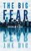 The_big_fear