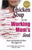 Chicken_soup_for_the_working_mom_s_soul
