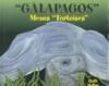 _Galapagos__Means__Tortoise_