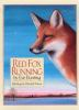 Red_fox_running