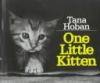 One_little_kitten