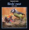 Birds__nest