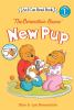 The_Berenstain_Bears__new_pup