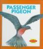 Passenger_pigeon