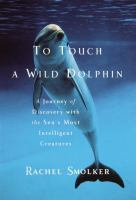 To_touch_a_wild_dolphin