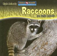 Raccoons_are_night_animals