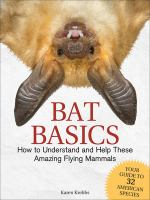 Bat_basics