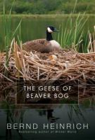 The_geese_of_Beaver_Bog