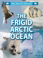 The_Frigid_Arctic_Ocean