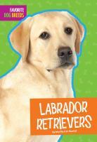 Labrador_retrievers
