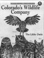 The_little_owls