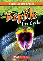 Reptile_life_cycles