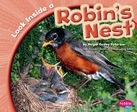 Look_inside_a_robin_s_nest