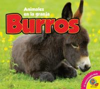 Burros___Donkeys