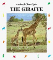 The_giraffe