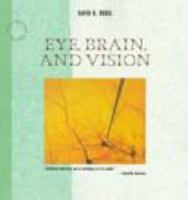 Eye__brain__and_vision