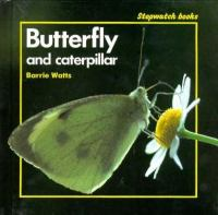 Butterfly_and_caterpillar