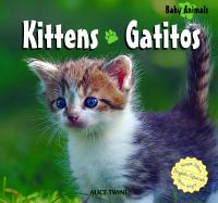 Kittens___Gatitos