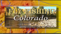 Fly_fishing_Colorado