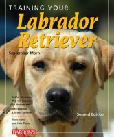 Training_your_labrador_retriever