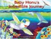 Baby_Honu_s_incredible_journey