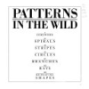 Patterns_in_the_wild